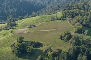 38555 Hauser Bridge Rd, Cazadero, CA 95421 - Photo 33