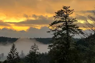 38555 Hauser Bridge Rd, Cazadero, CA 95421 - Photo 75