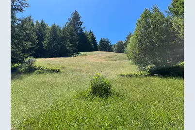 38555 Hauser Bridge Road, Cazadero, CA 95421 - Photo 45