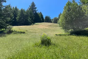 38555 Hauser Bridge Rd, Cazadero, CA 95421 - Photo 45