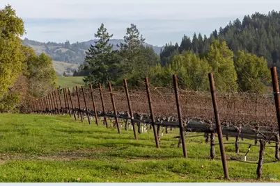 38555 Hauser Bridge Road, Cazadero, CA 95421 - Photo 5