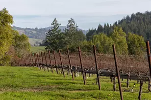 38555 Hauser Bridge Rd, Cazadero, CA 95421 - Photo 5