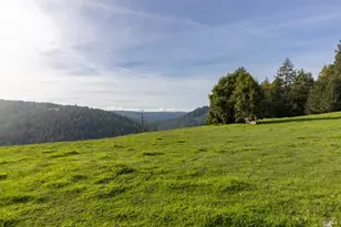 38555 Hauser Bridge Rd, Cazadero, CA 95421 - Photo 9