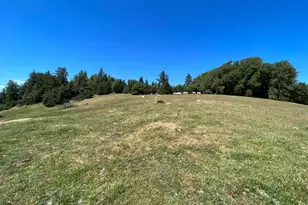 38555 Hauser Bridge Rd, Cazadero, CA 95421 - Photo 51