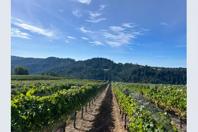 38555 Hauser Bridge Road, Cazadero, CA 95421 - Photo 81