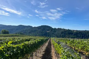 38555 Hauser Bridge Rd, Cazadero, CA 95421 - Photo 81