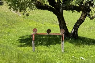 38555 Hauser Bridge Rd, Cazadero, CA 95421 - Photo 71