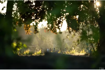 38555 Hauser Bridge Road, Cazadero, CA 95421 - Photo 57