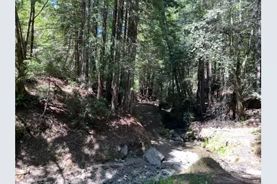 38555 Hauser Bridge Road, Cazadero, CA 95421 - Photo 83