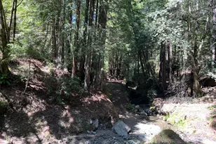 38555 Hauser Bridge Rd, Cazadero, CA 95421 - Photo 83