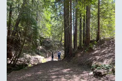 38555 Hauser Bridge Road, Cazadero, CA 95421 - Photo 89