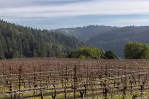 38555 Hauser Bridge Rd, Cazadero, CA 95421 - Photo 7