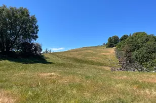 38555 Hauser Bridge Rd, Cazadero, CA 95421 - Photo 57