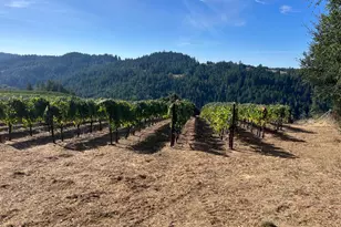 38555 Hauser Bridge Rd, Cazadero, CA 95421 - Photo 83