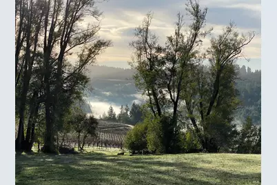 38555 Hauser Bridge Road, Cazadero, CA 95421 - Photo 65