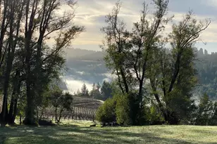 38555 Hauser Bridge Rd, Cazadero, CA 95421 - Photo 65