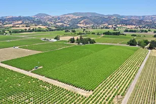 5301 Hwy 128, Geyserville, CA 95441 - Photo 5