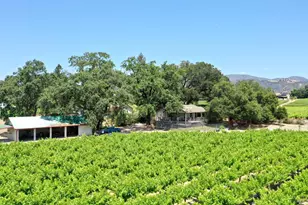 5301 Hwy 128, Geyserville, CA 95441 - Photo 71