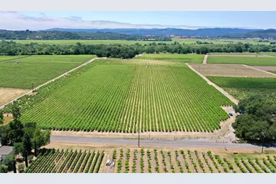 5301 Highway 128, Geyserville, CA 95441 - Photo 73
