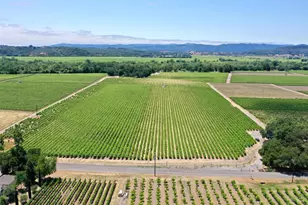 5301 Hwy 128, Geyserville, CA 95441 - Photo 73