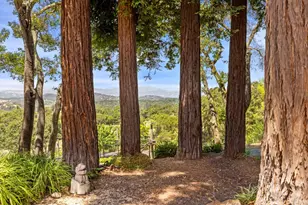 5370 Country Ln, Napa, CA 94558 - Photo 5