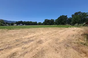 24450 Wattenburg Rd, Covelo, CA 95428 - Photo 3