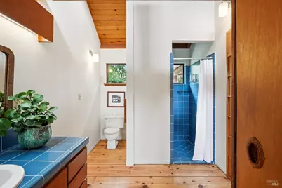 10 Miwok Way, Inverness, CA 94937 - Photo 43