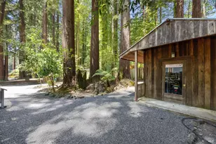 19598 Redwood Dr, Monte Rio, CA 95462 - Photo 29