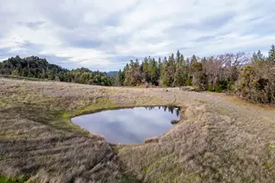 50410 Hwy 101, Laytonville, CA 95454 - Photo 31