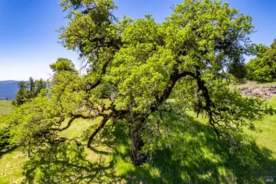 19780 Yorkville Ranch Road, Yorkville, CA 95494 - Photo 13