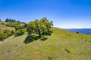 19780 Yorkville Ranch Rd, Yorkville, CA 95494 - Photo 15