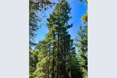 5801 Flynn Creek Road, Comptche, CA 95427 - Photo 15