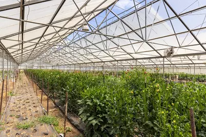 4288 Bodega Avenue, Petaluma, CA 94952 - Photo 33