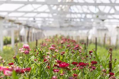 4288 Bodega Avenue, Petaluma, CA 94952 - Photo 17