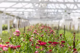 4288 Bodega Ave, Petaluma, CA 94952 - Photo 17