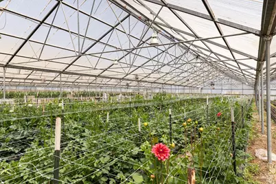 4288 Bodega Avenue, Petaluma, CA 94952 - Photo 35