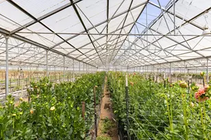 4288 Bodega Ave, Petaluma, CA 94952 - Photo 31