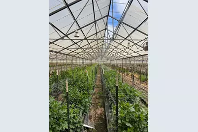 4288 Bodega Avenue, Petaluma, CA 94952 - Photo 43