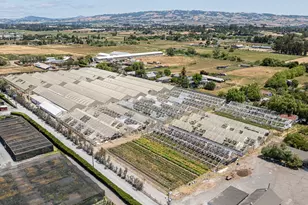 4288 Bodega Ave, Petaluma, CA 94952 - Photo 5