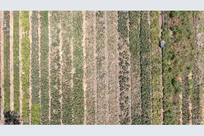 4288 Bodega Avenue, Petaluma, CA 94952 - Photo 9