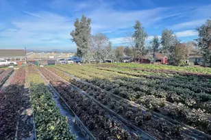 4288 Bodega Ave, Petaluma, CA 94952 - Photo 53