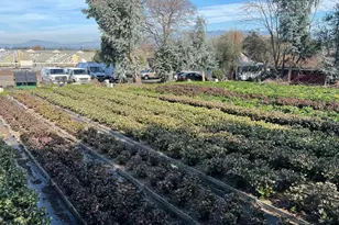 4288 Bodega Ave, Petaluma, CA 94952 - Photo 51