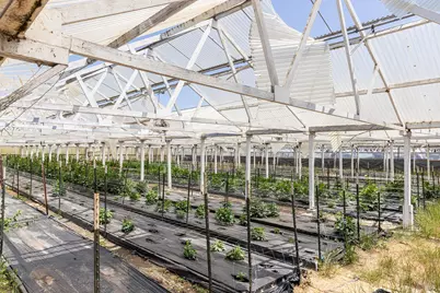 4288 Bodega Avenue, Petaluma, CA 94952 - Photo 41