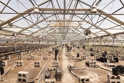 4288 Bodega Avenue, Petaluma, CA 94952 - Photo 37