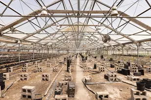 4288 Bodega Ave, Petaluma, CA 94952 - Photo 37