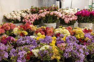 4288 Bodega Ave, Petaluma, CA 94952 - Photo 23