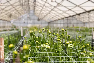 4288 Bodega Avenue, Petaluma, CA 94952 - Photo 15