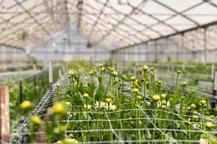 4288 Bodega Ave, Petaluma, CA 94952 - Photo 15