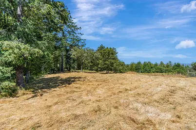 0 S Bodega Highway, Freestone, CA 95472 - Photo 19