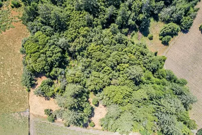 0 S Bodega Highway, Freestone, CA 95472 - Photo 33